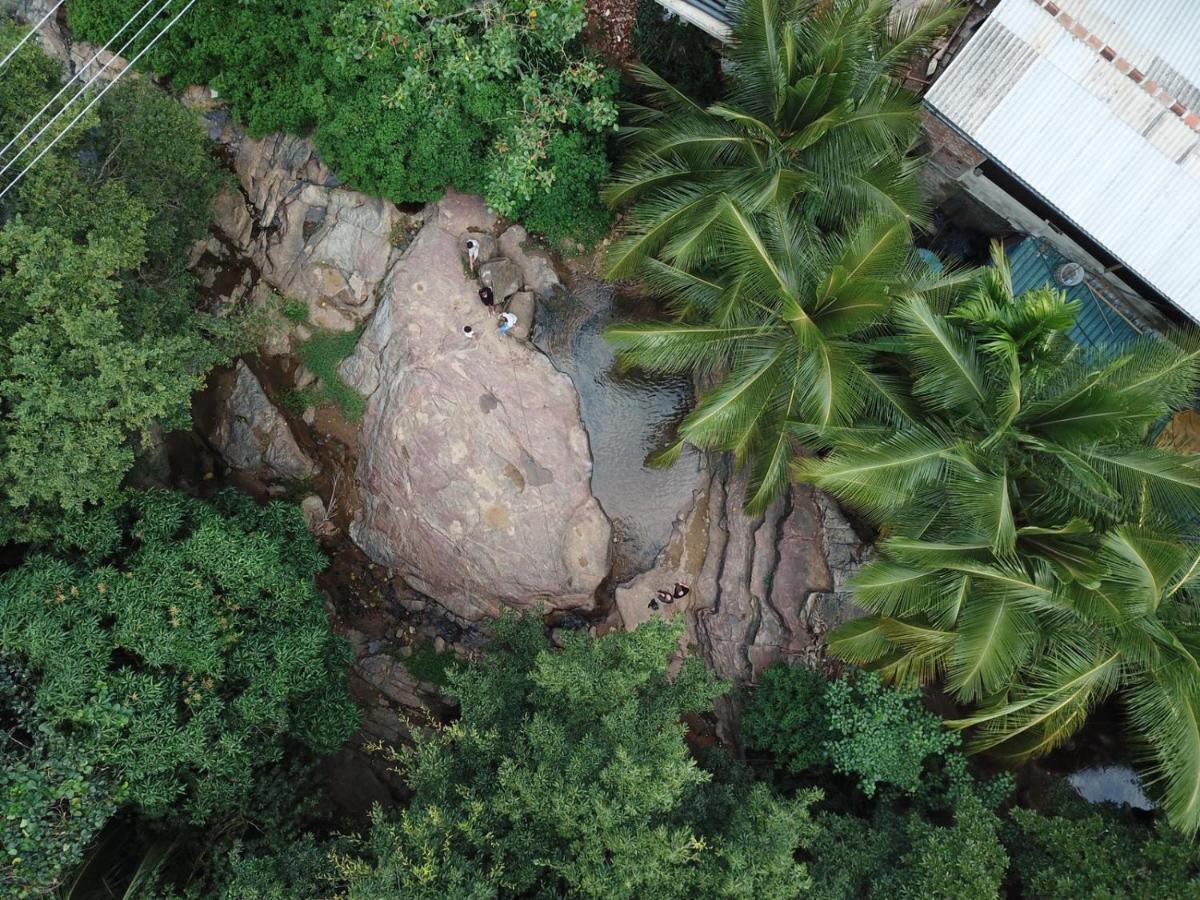 River Forest Nest Ella Extérieur photo